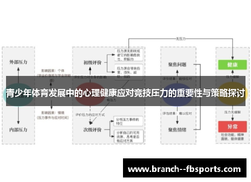青少年体育发展中的心理健康应对竞技压力的重要性与策略探讨